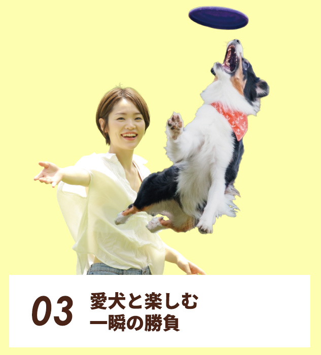 03.愛犬と楽しむ、一瞬の勝負