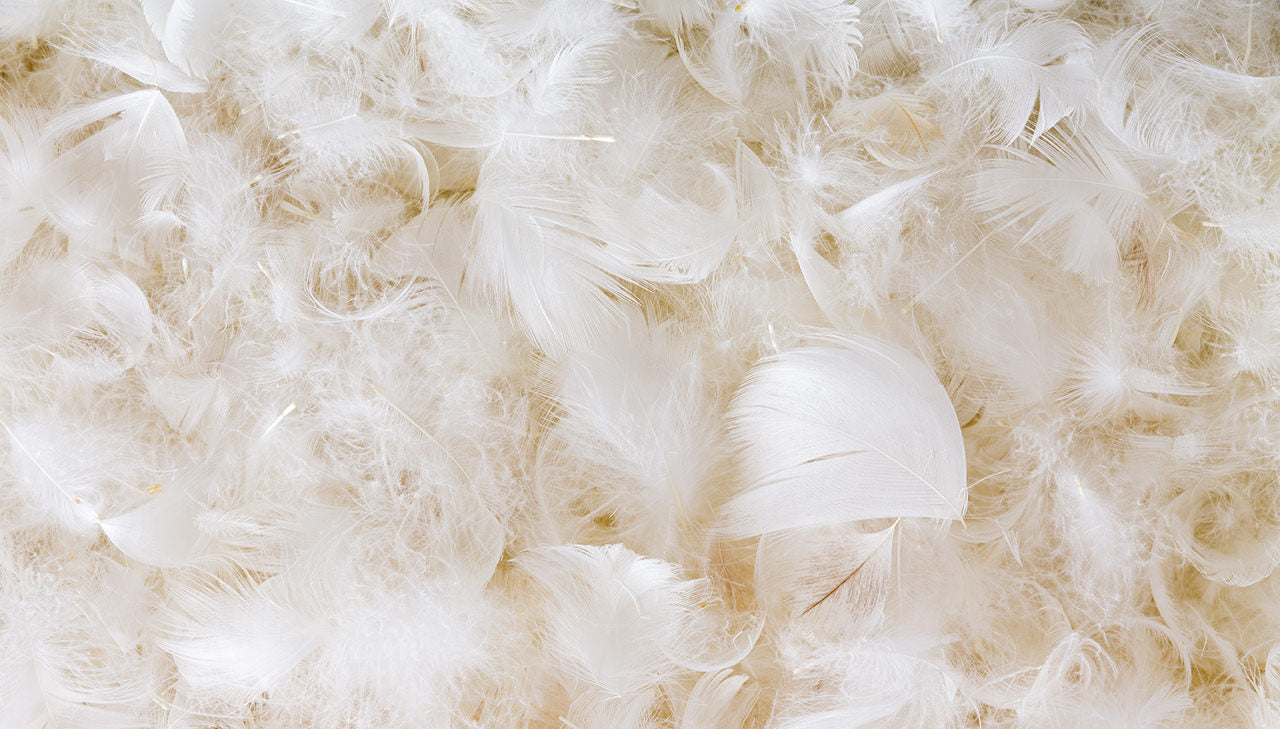 羽毛ふとんの【ダウンパワー】について語ってみます！ - 間違い  