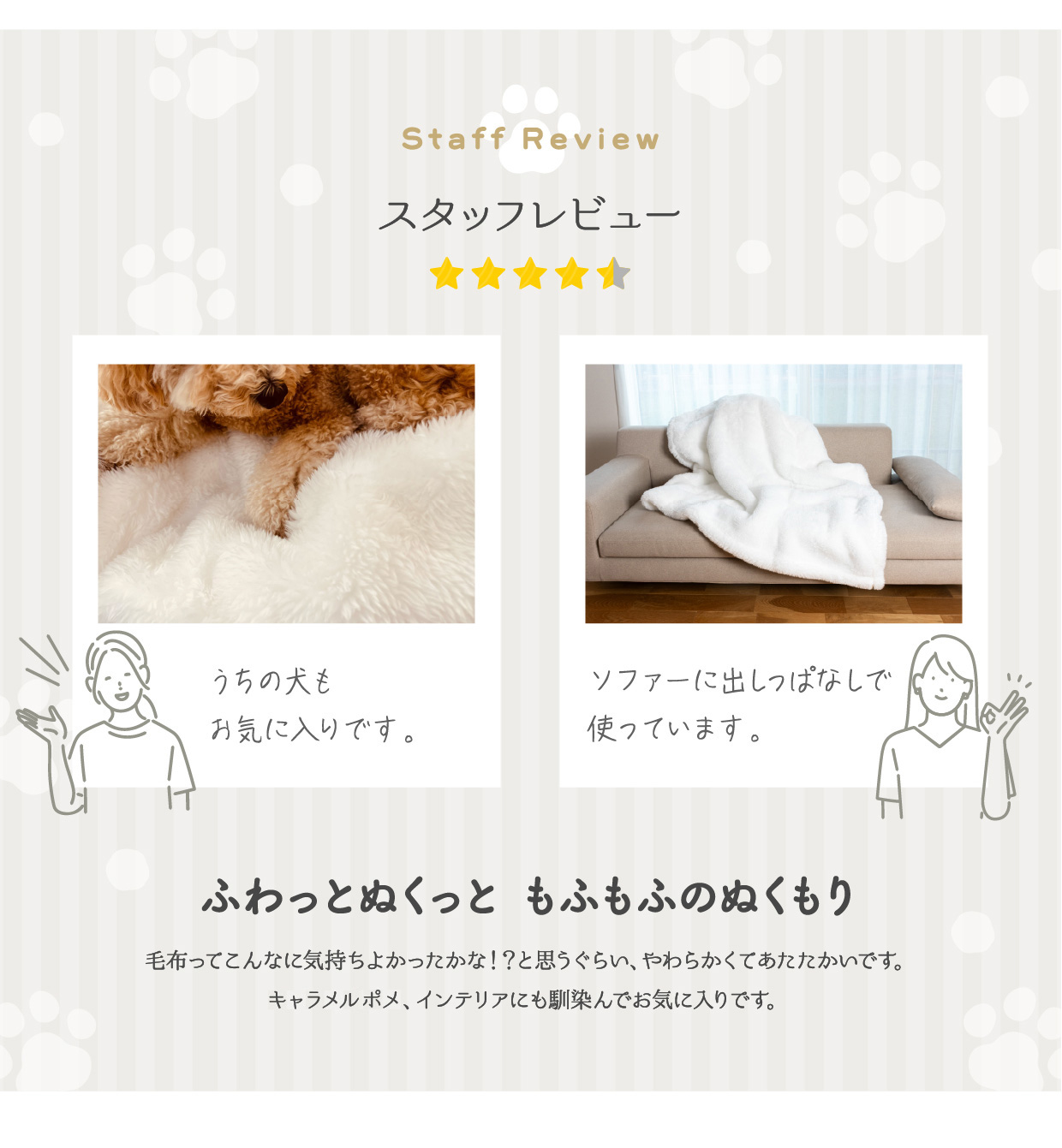 スタッフレビュー